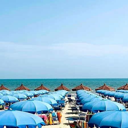 Hotel Seapark 4*